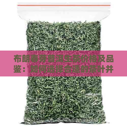 布朗春芽普洱生茶价格及品鉴：如何选择合适的茶叶并了解市场行情