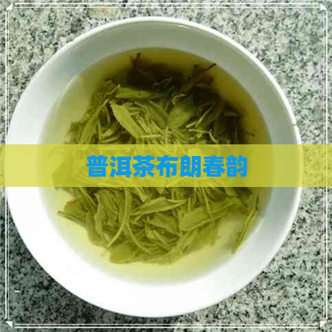 普洱茶布朗春韵