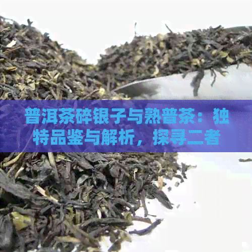 普洱茶碎银子与熟普茶：独特品鉴与解析，探寻二者区别