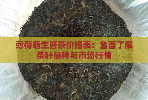 薄荷塘生普茶价格表：全面了解茶叶品种与市场行情