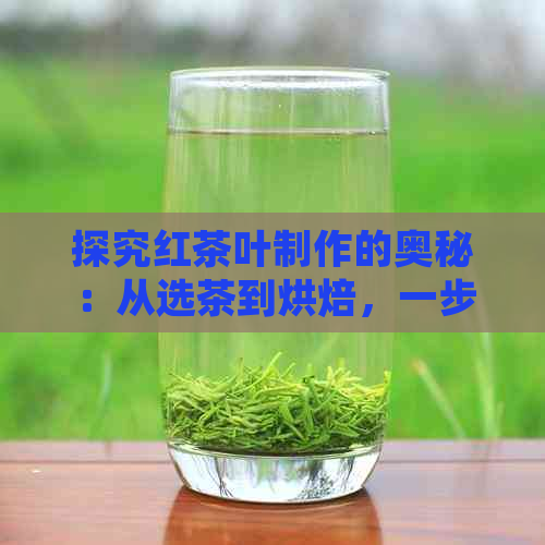 探究红茶叶制作的奥秘：从选茶到烘焙，一步步详解制茶工艺