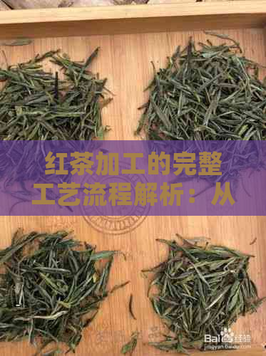 红茶加工的完整工艺流程解析：从采摘到品质保证的全过程探究