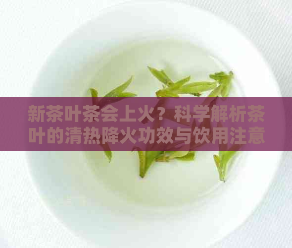 新茶叶茶会上火？科学解析茶叶的清热降火功效与饮用注意事项