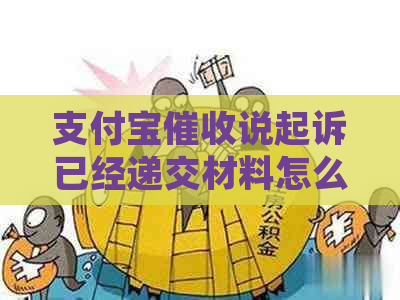 支付宝说起诉已经递交材料怎么办