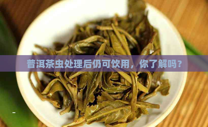 普洱茶虫处理后仍可饮用，你了解吗？