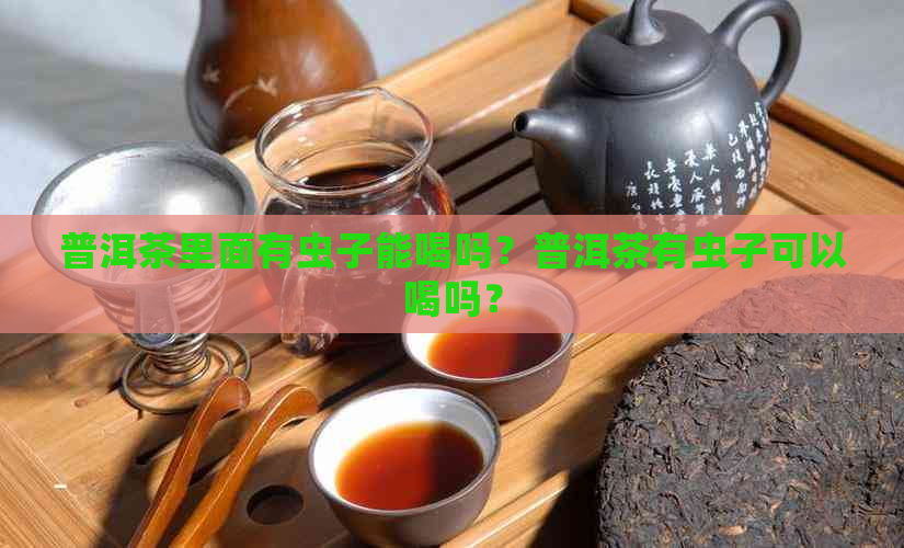 普洱茶里面有虫子能喝吗？普洱茶有虫子可以喝吗？