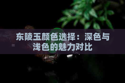 东陵玉颜色选择：深色与浅色的魅力对比