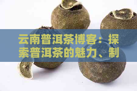 云南普洱茶博客：探索普洱茶的魅力、制作工艺与品饮技巧，解答你的所有疑问