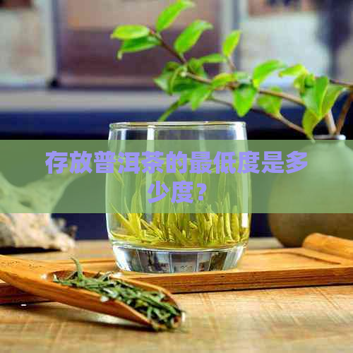 存放普洱茶的更低度是多少度？