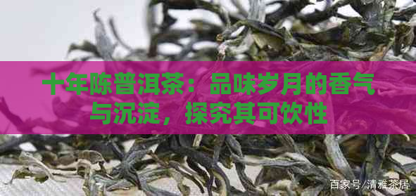 十年陈普洱茶：品味岁月的香气与沉淀，探究其可饮性