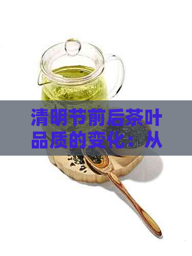 清明节前后茶叶品质的变化：从制作工艺到口感的全面解读