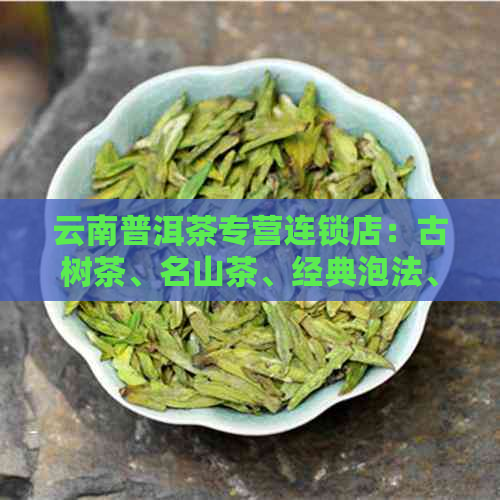 云南普洱茶专营连锁店：古树茶、名山茶、经典泡法、品质保证、茶艺表演