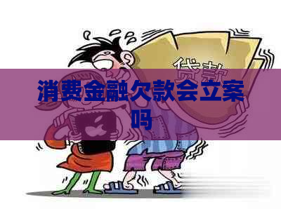 消费金融欠款会立案吗