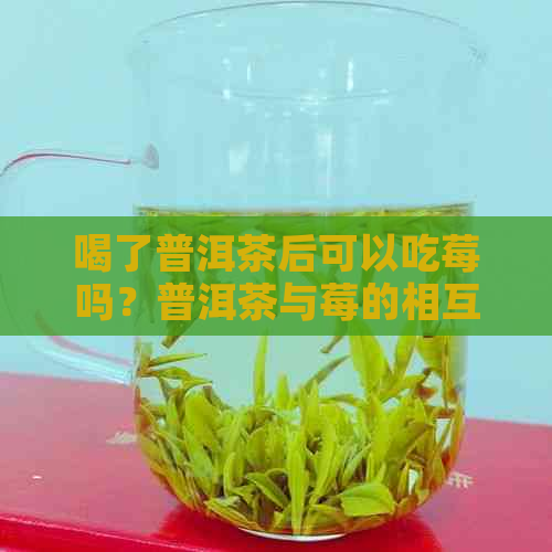 喝了普洱茶后可以吃莓吗？普洱茶与莓的相互作用及注意事项