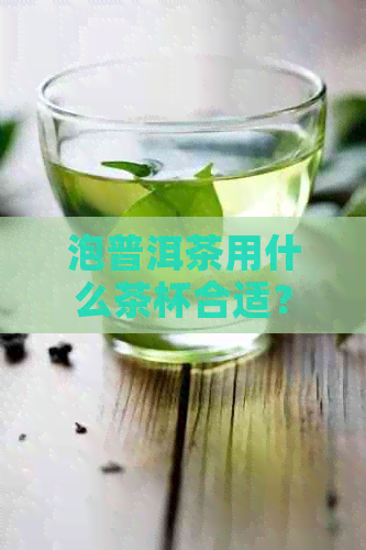 泡普洱茶用什么茶杯合适？