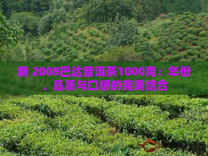 新 2008巴达普洱茶1000克：年份、品质与口感的完美结合