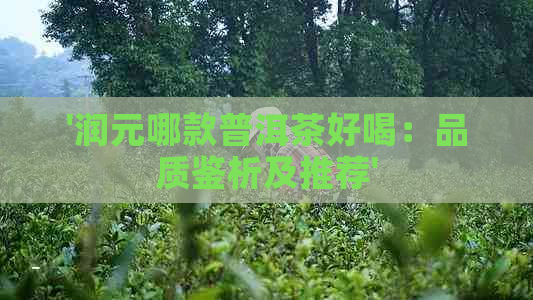 '润元哪款普洱茶好喝：品质鉴析及推荐'