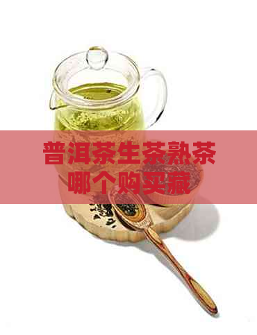 普洱茶生茶熟茶哪个购买藏