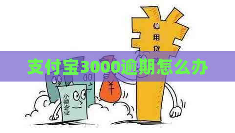 支付宝3000逾期怎么办