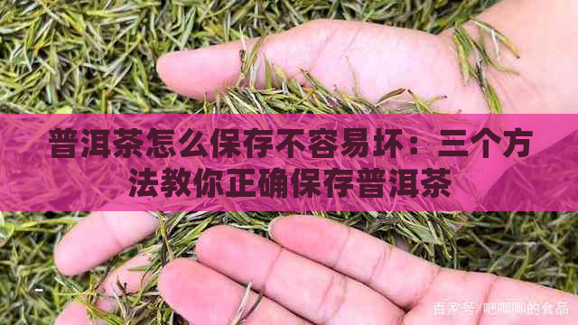 普洱茶怎么保存不容易坏：三个方法教你正确保存普洱茶