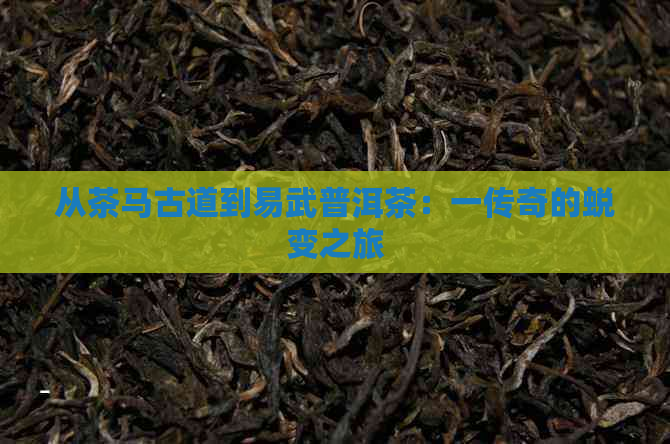 从茶马古道到易武普洱茶：一传奇的蜕变之旅