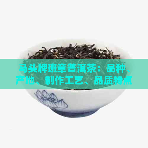 马头牌班章普洱茶：品种、产地、制作工艺、品质特点及购买指南的全面解析