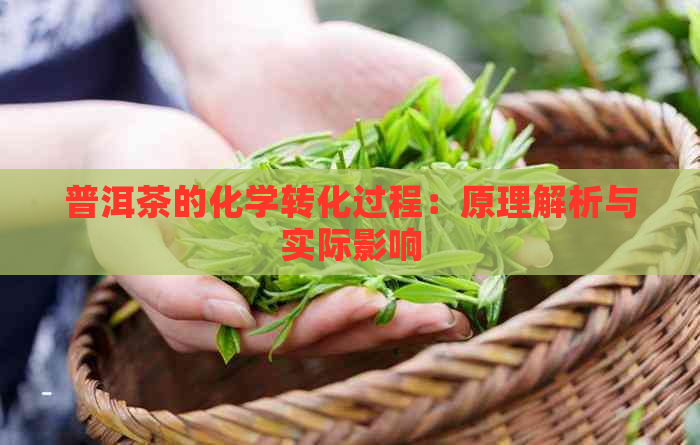 普洱茶的化学转化过程：原理解析与实际影响