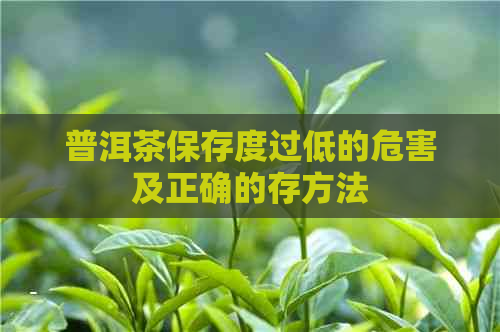 普洱茶保存度过低的危害及正确的存方法