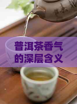 普洱茶香气的深层含义与影响：探索茶香背后的科学原理和品饮技巧