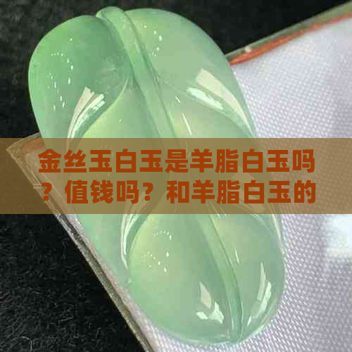 金丝玉白玉是羊脂白玉吗？值钱吗？和羊脂白玉的区别是什么？好吗？