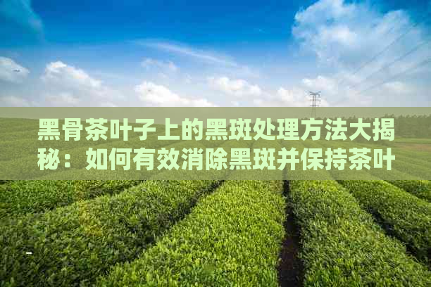 黑骨茶叶子上的黑斑处理方法大揭秘：如何有效消除黑斑并保持茶叶品质？