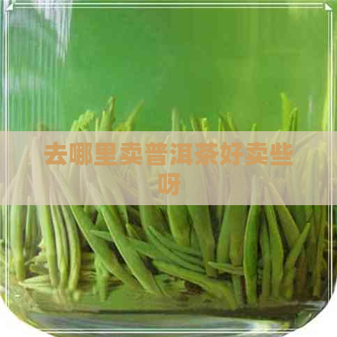 去哪里卖普洱茶好卖些呀