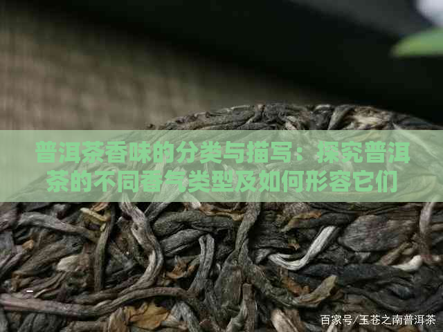 普洱茶香味的分类与描写：探究普洱茶的不同香气类型及如何形容它们