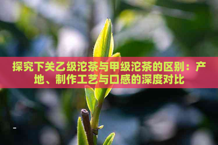 探究下关乙级沱茶与甲级沱茶的区别：产地、制作工艺与口感的深度对比