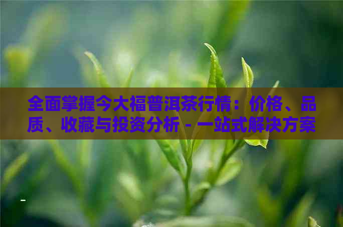 全面掌握今大福普洱茶行情：价格、品质、收藏与投资分析 - 一站式解决方案