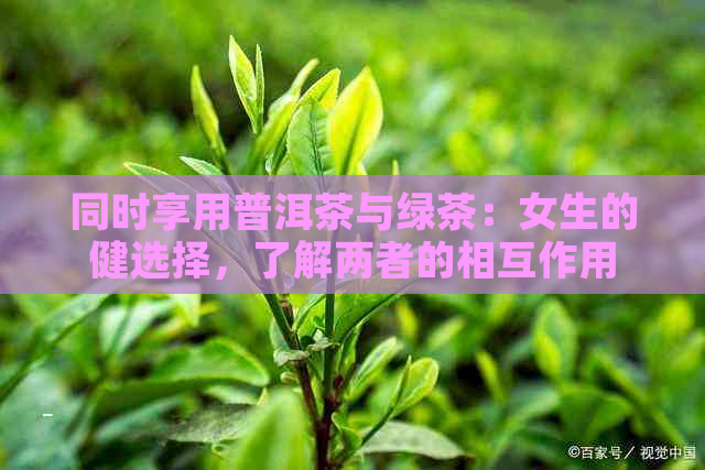 同时享用普洱茶与绿茶：女生的健选择，了解两者的相互作用