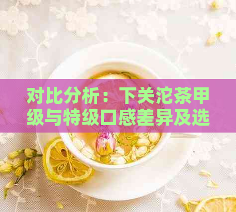 对比分析：下关沱茶甲级与特级口感差异及选择建议