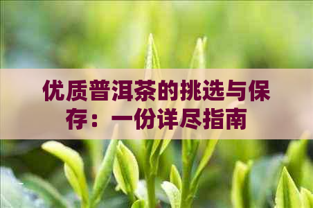 优质普洱茶的挑选与保存：一份详尽指南