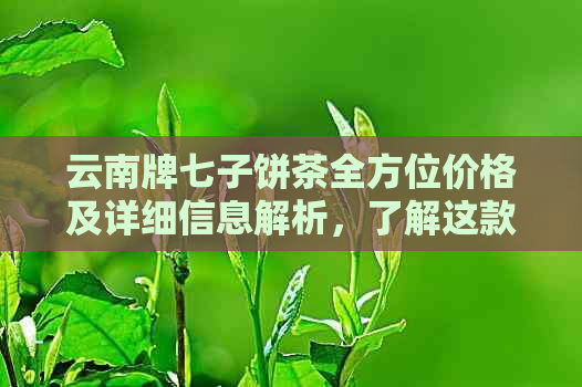 云南牌七子饼茶全方位价格及详细信息解析，了解这款特色茶的途径