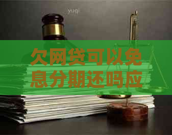 欠网贷可以免息分期还吗应该怎么办理