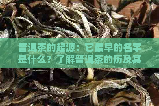 普洱茶的起源：它最早的名字是什么？了解普洱茶的历及其多种称