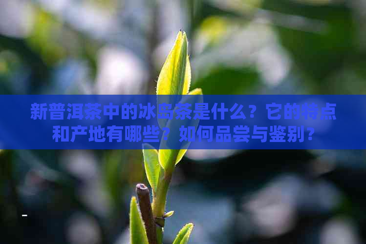 新普洱茶中的冰岛茶是什么？它的特点和产地有哪些？如何品尝与鉴别？