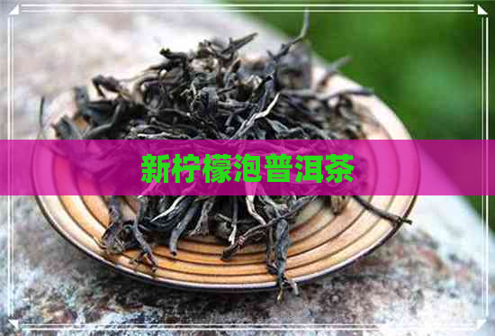 新柠檬泡普洱茶