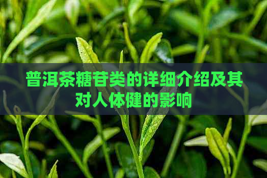 普洱茶糖苷类的详细介绍及其对人体健的影响