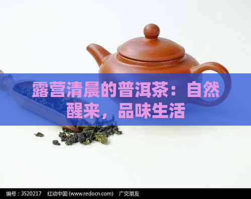 露营清晨的普洱茶：自然醒来，品味生活