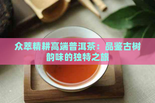 众萃精耕高端普洱茶：品鉴古树韵味的独特之旅