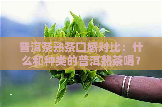 普洱茶熟茶口感对比：什么和种类的普洱熟茶喝？