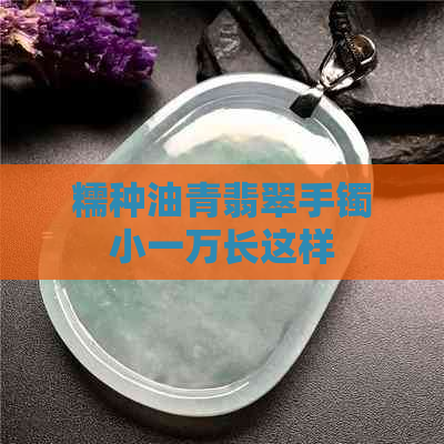 糯种油青翡翠手镯小一万长这样