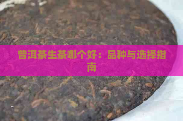 普洱茶生茶哪个好：品种与选择指南