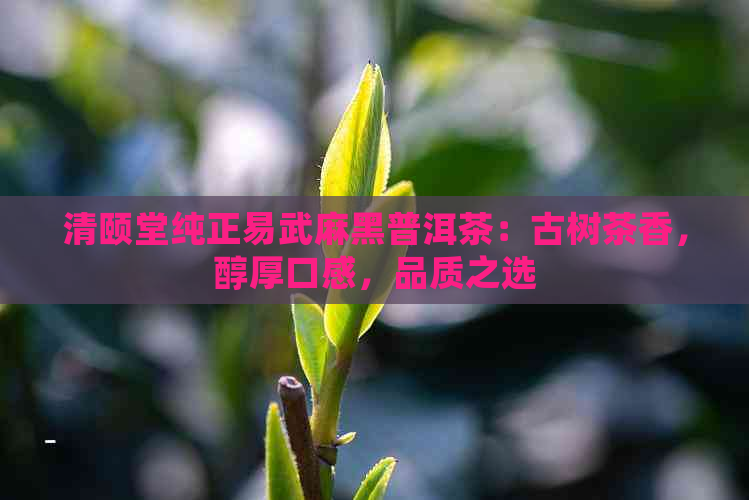 清颐堂纯正易武麻黑普洱茶：古树茶香，醇厚口感，品质之选